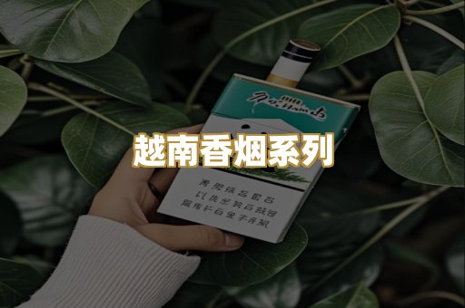 越南香烟系列